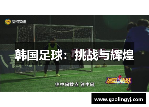 韩国足球：挑战与辉煌