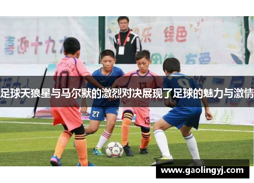 足球天狼星与马尔默的激烈对决展现了足球的魅力与激情