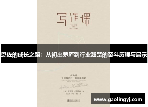 恩佐的成长之路：从初出茅庐到行业翘楚的奋斗历程与启示